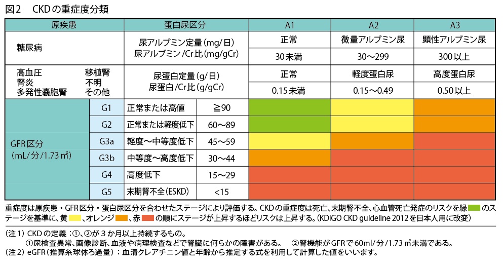 腎不全に直面している場合に予期すべきこと