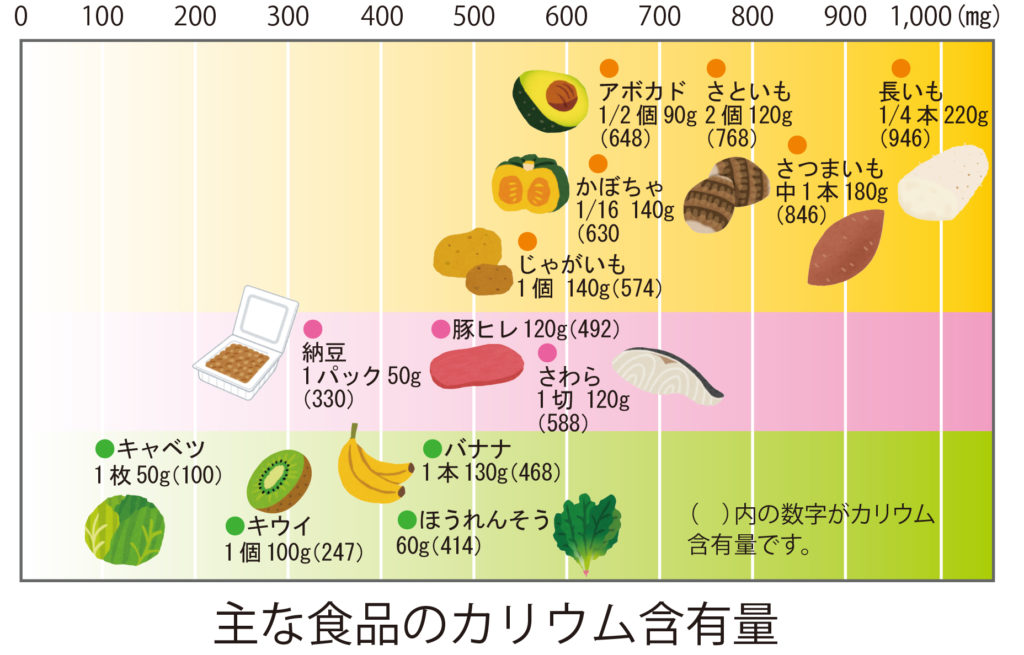 カリウム の 多い 食品