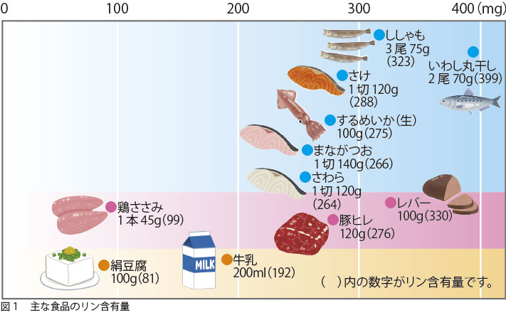 ダイエット計画の提案