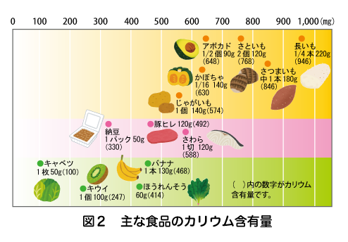 図2　主な食品のカリウム含有量