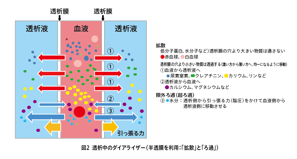 拡散とろ過をしめした簡単な図です。