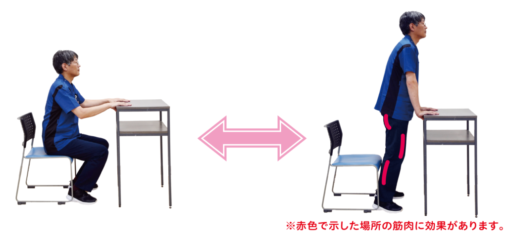 立ち上がり運動を横から撮影した写真です。臀部・太腿の前側・脹脛の筋肉に効果があります。