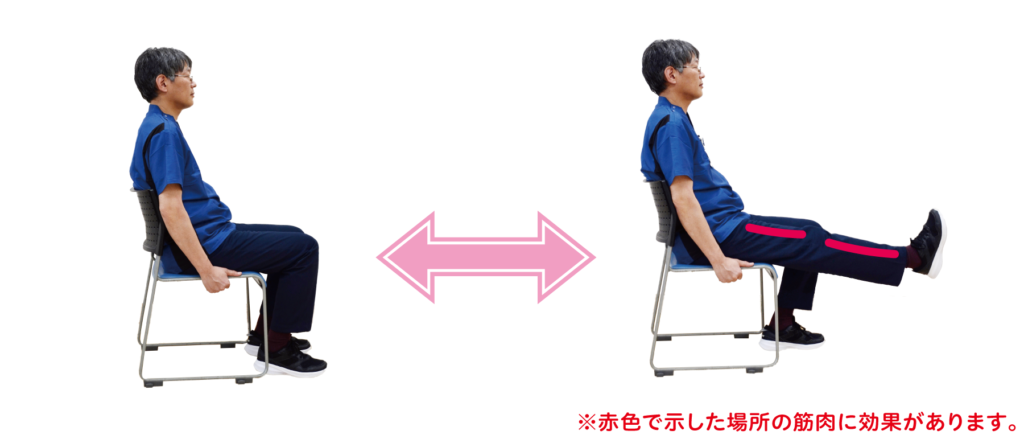 膝伸ばし運動を横から撮影した写真です。太腿・脛の前側の筋肉に効果があります。