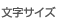 文字サイズ